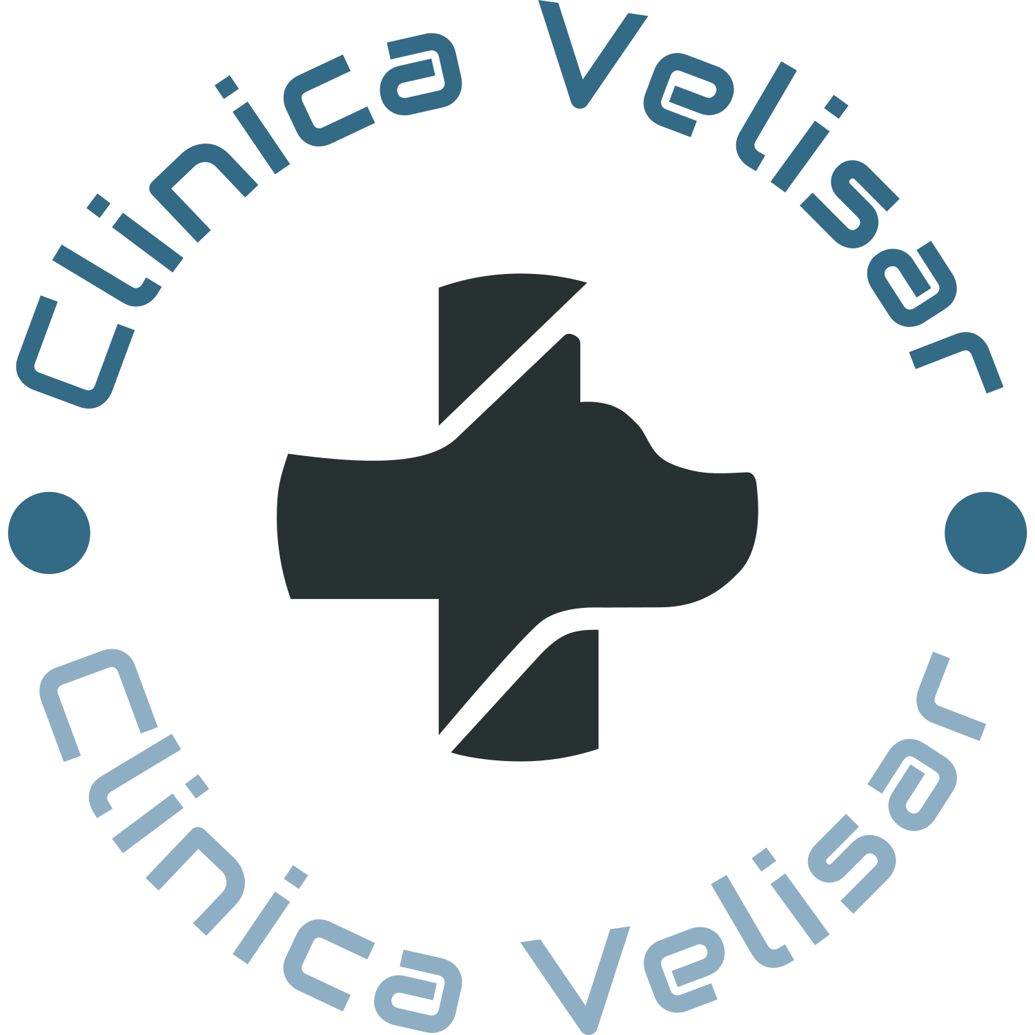 Clinica Veterinară Velisar
